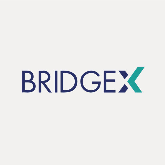 logobrindgex logobrindgex